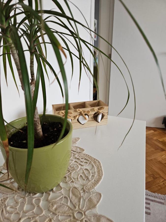 Cosy Apartment In The Heart Of Σκόπια Εξωτερικό φωτογραφία